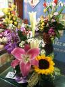 IMG_3700.JPG - 