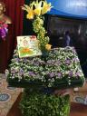 IMG_3705.JPG - 