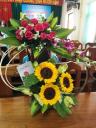 IMG_3719.JPG - 