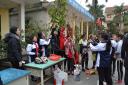 Trang tri canh dao.jpg - 