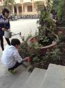Cham soc cay - Cham soc cay.JPG