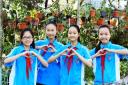 Hưởng ứng Nụ cười hạ long.jpg - 