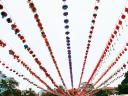 Tet_Denlong.jpg - 